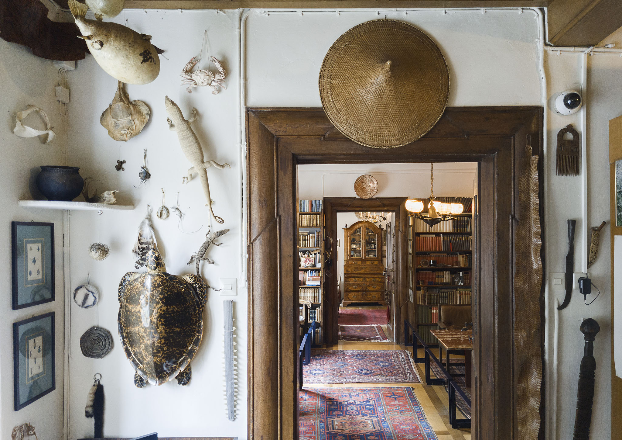 PXL 20230806 131050494