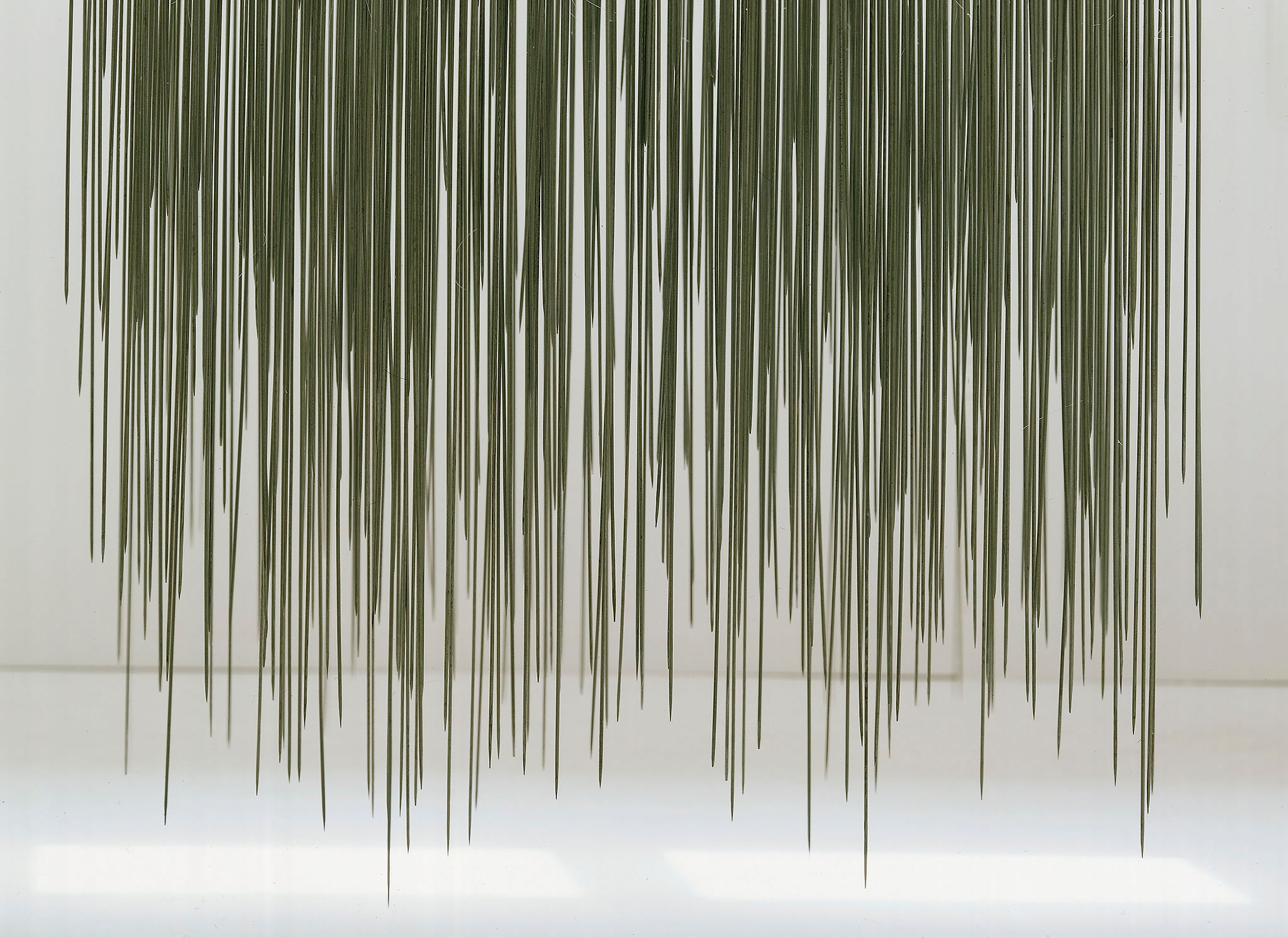 installation von ellen keusen